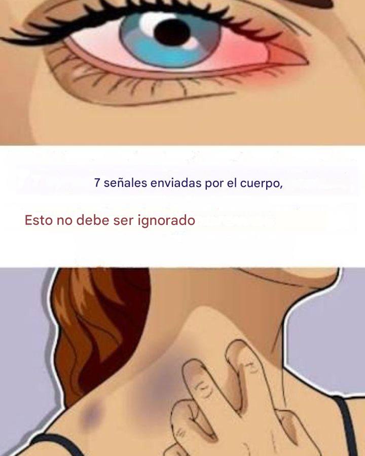 600293260 886638584044738 3250107380665684232 n