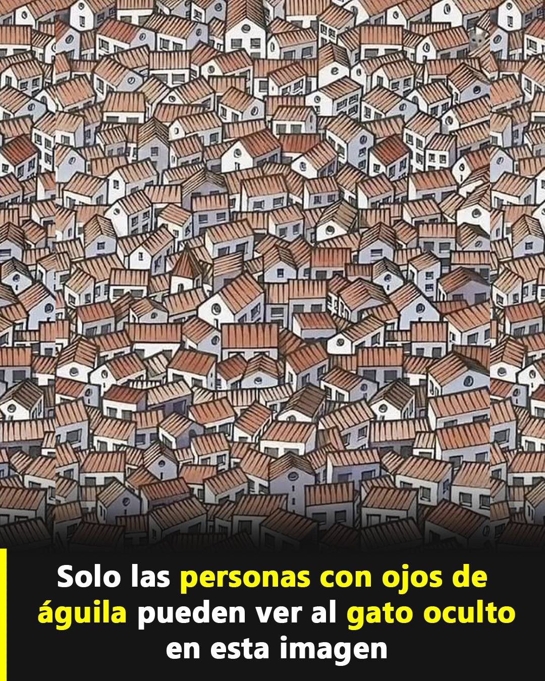 514344118 1156879083149950 7083290938289522753 n