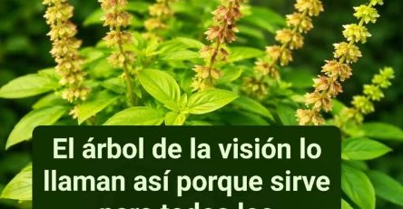 FB IMG