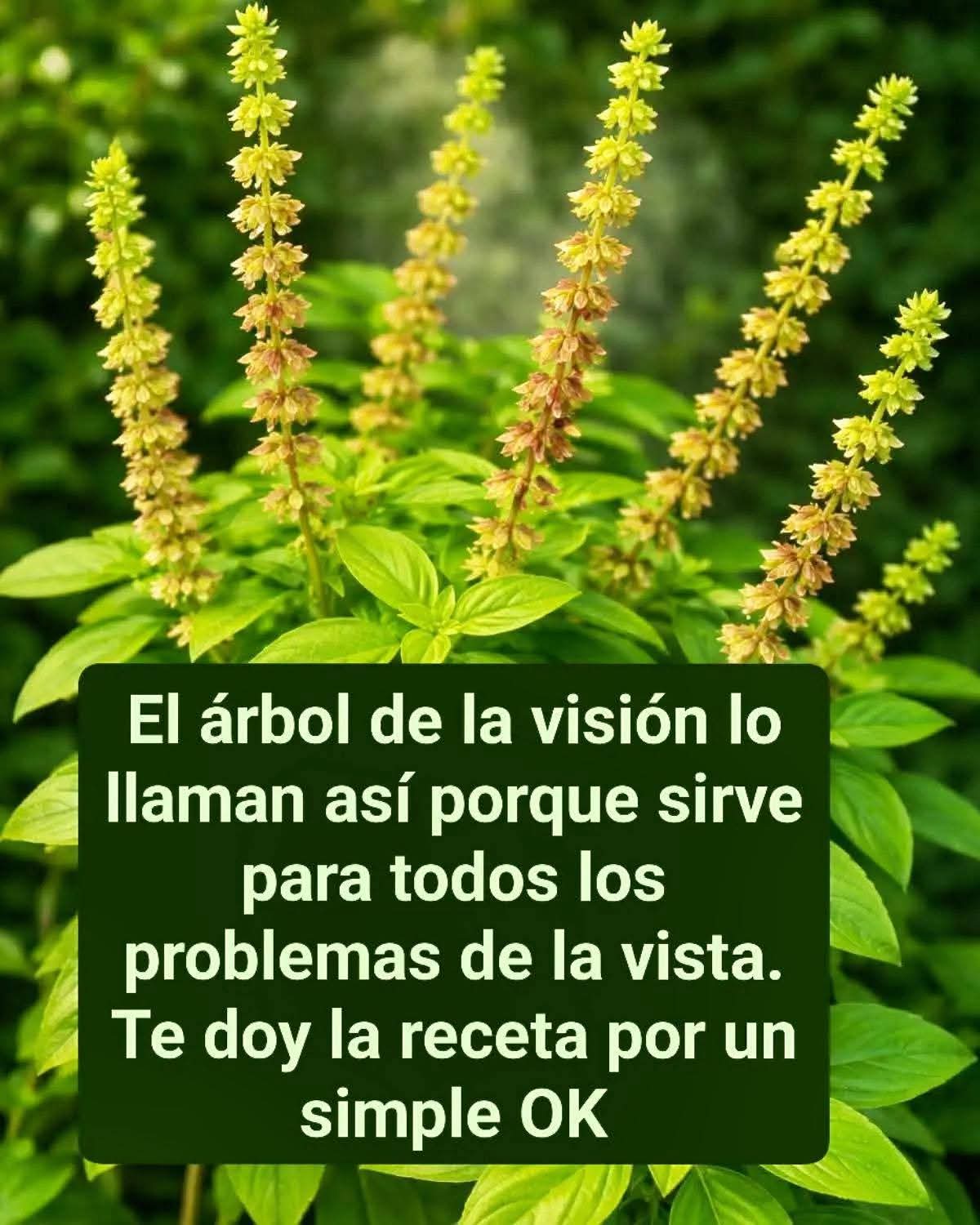 FB IMG