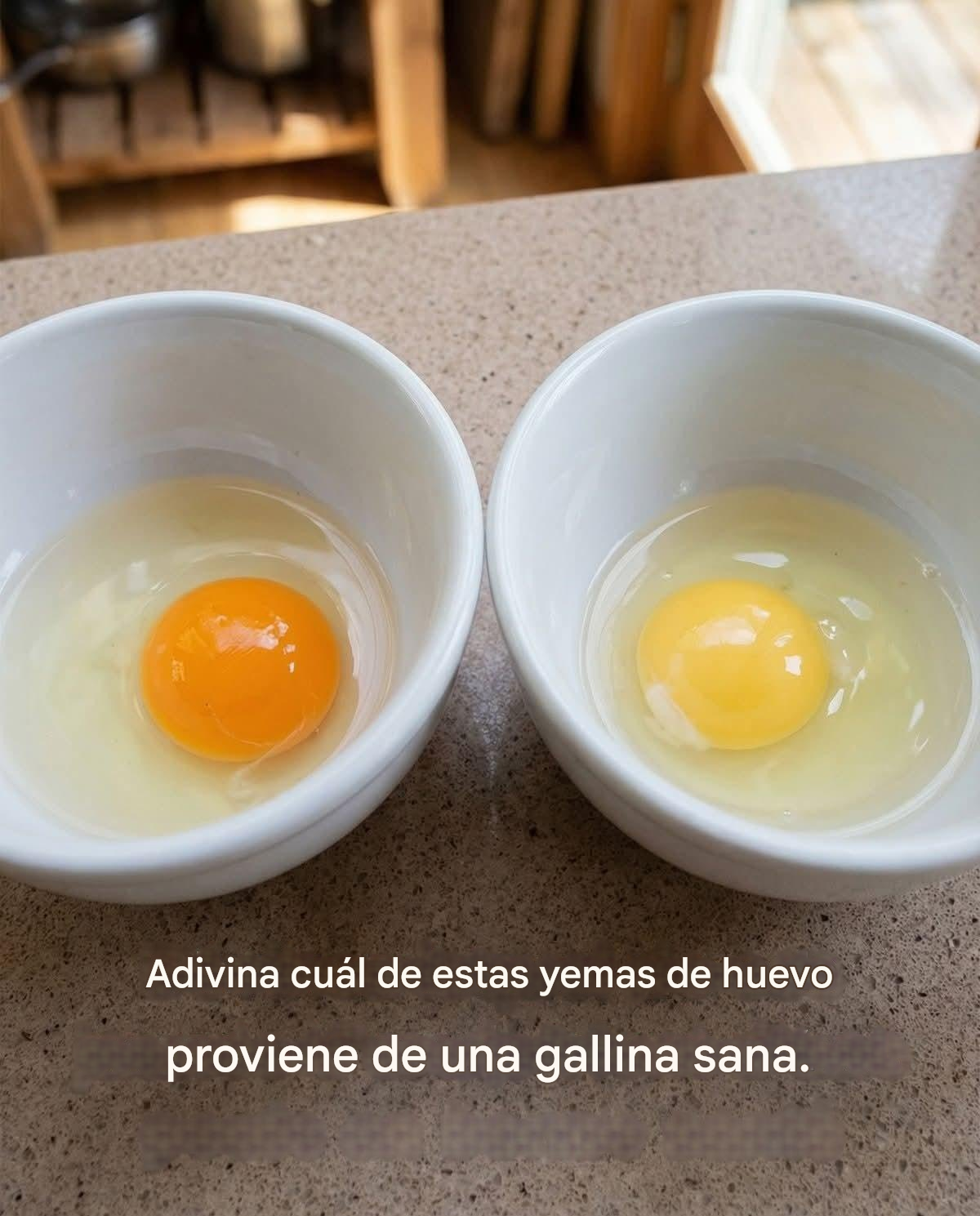 Translated image es
