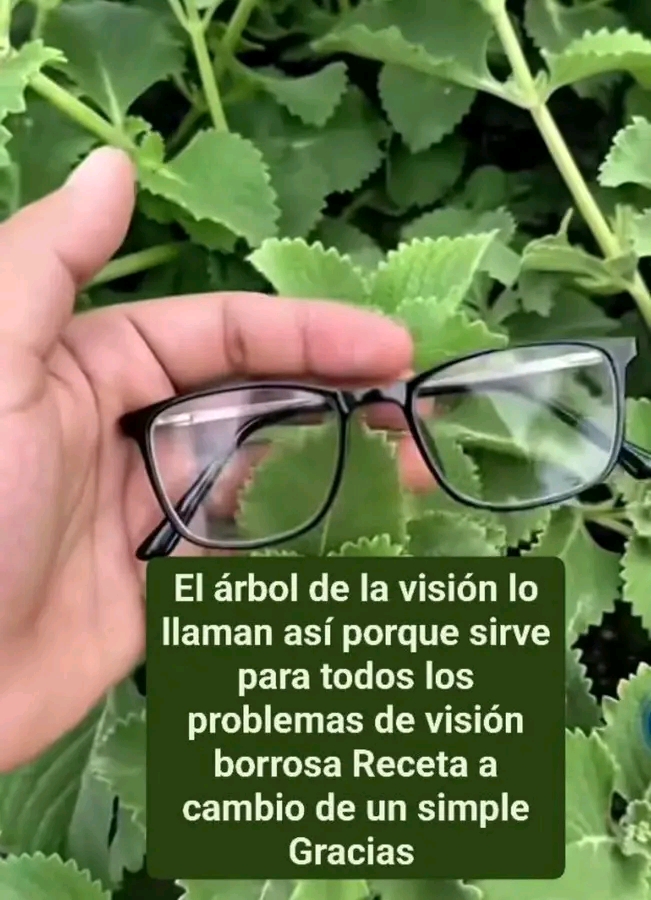 1775236065865
