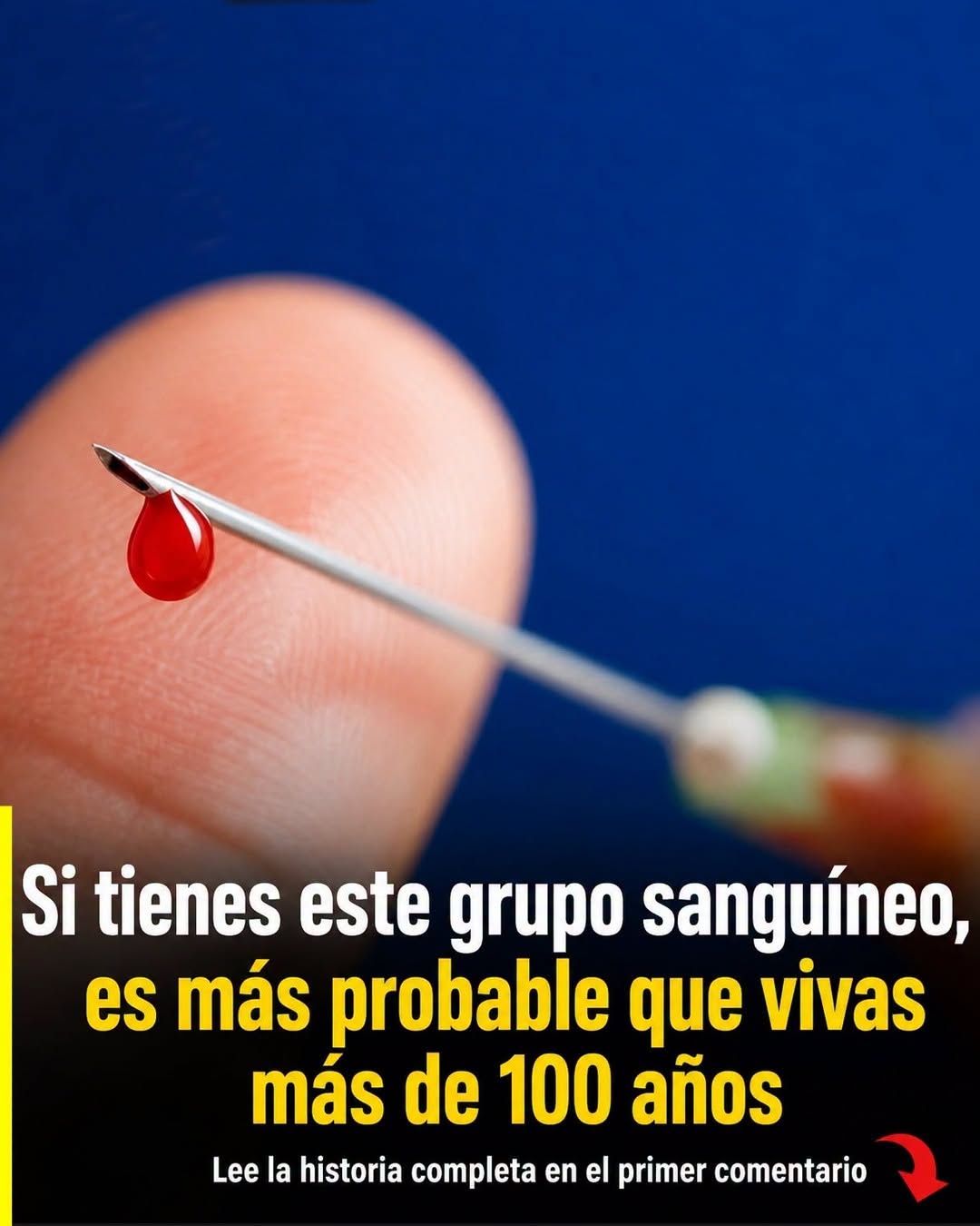 672911351 1510970697490604 6140321636276905955 n 768x960