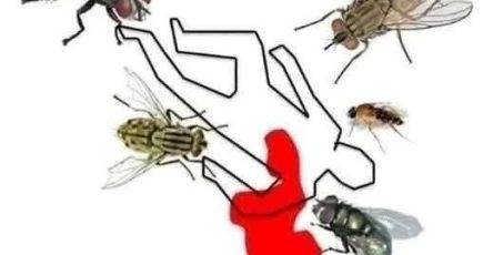 673030885 1519550576407146 5201081082143338576 n 819x1024