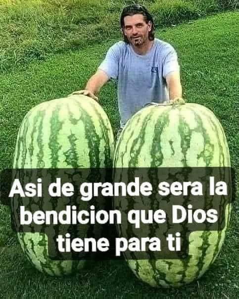 673030885 1519550576407146 5201081082143338576 n 819x1024 7 683x1024