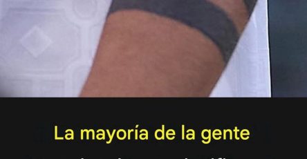 719233261 1006316398997163 722982530846591740 n