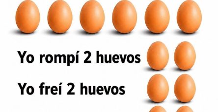 721820200 2084873169120273 3326045934966342363 n