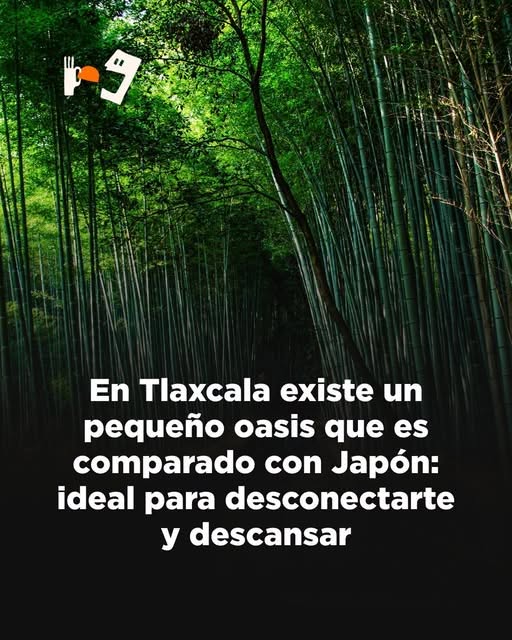 731787792 2226631124831831 4690956824255907021 n (1)