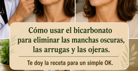 F92821ac 92d4 4d11 bedb 895918d508ce