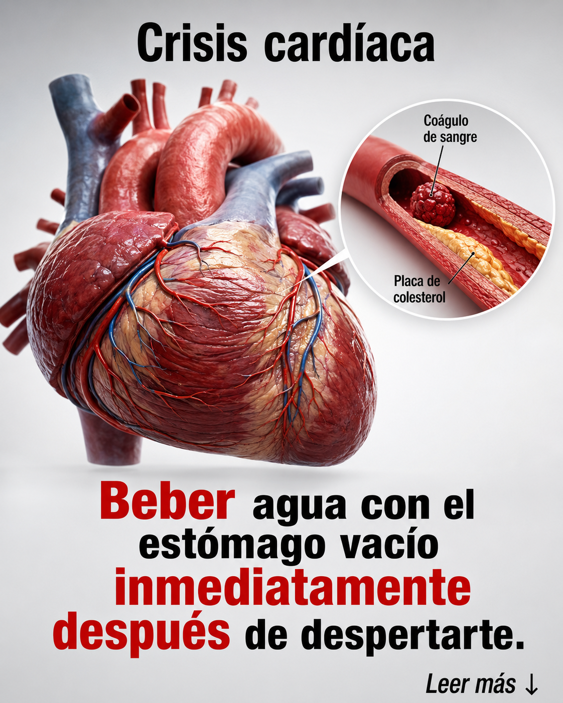0d8e1dc2 fb8a 49e7 a7b1 6ba59a696b60