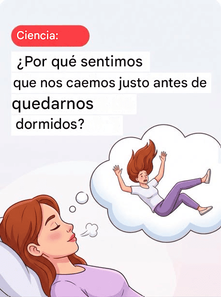 4116a3e6 45db 4c23 af1e f8881bed5d56 768x768 3 768x960