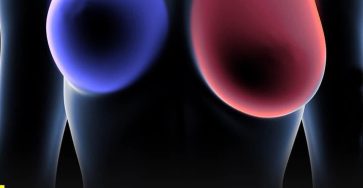 673030885 1519550576407146 5201081082143338576 n 819x1024 8