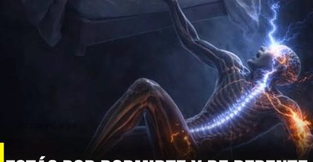 753647266 122248269620123598 5745457360679560519 n