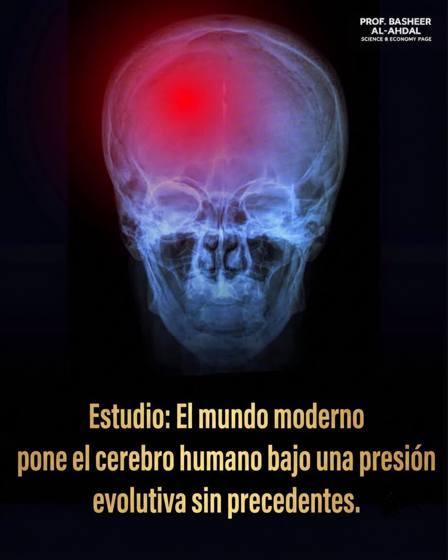 7f9a37af 2b8d 44c3 8880 049989efd757