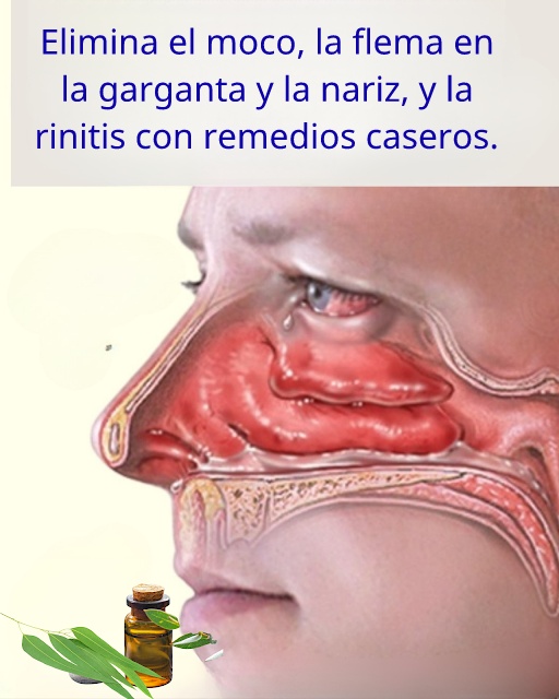 Imageadd7f595 4eb6 49b7 8c3f 9c5c84f6b80d 1765850507 (1)