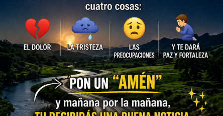 1300c0c0 bd2a 4c02 a23e 1c6720ec50e4 (1)