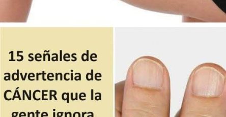 673030885 1519550576407146 5201081082143338576 n 819x1024 4 Copy Copy Copy Copy Copy Copy Copy
