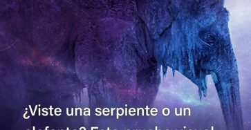766762684 970715382684153 6478468139136787025 n
