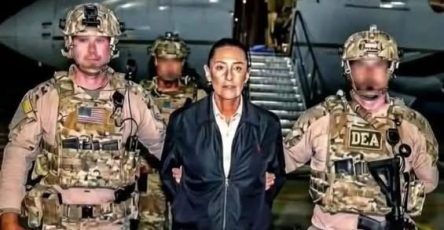 769056329 1788294372168539 7097240560870613593 n
