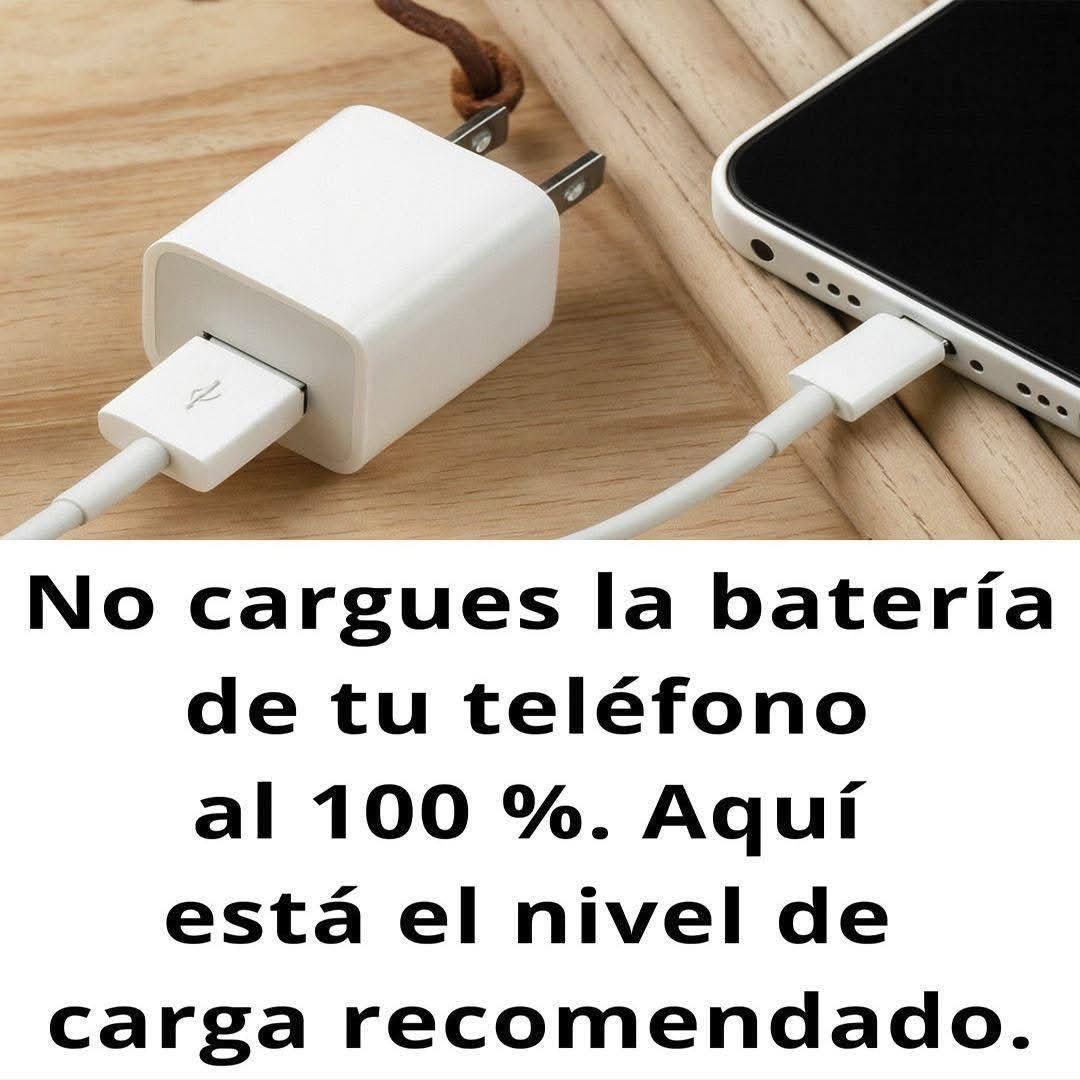 WhatsApp Image 2026 03 02 at 22.47.44