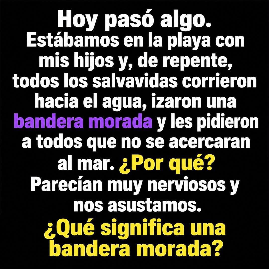 WhatsApp Image 2026 08 07 at 04.59.58